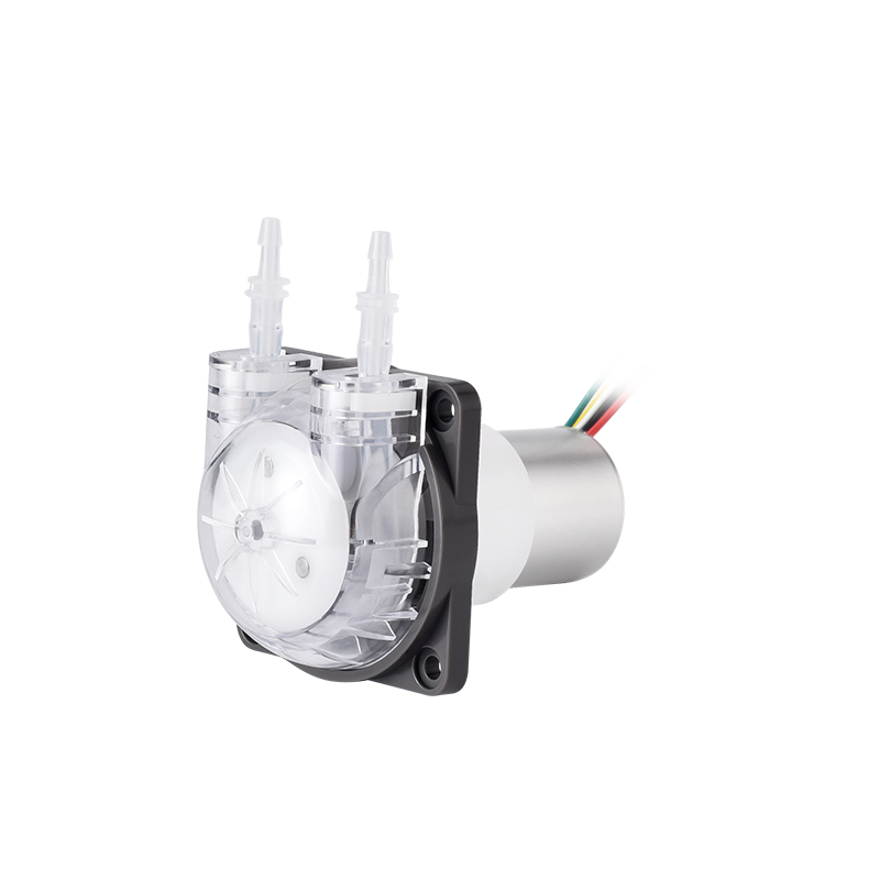 PENGPU マイクロ蠕動ポンプ 24V ステッピングモータ - Mini Peristaltic Pump 12V のレビューと価格