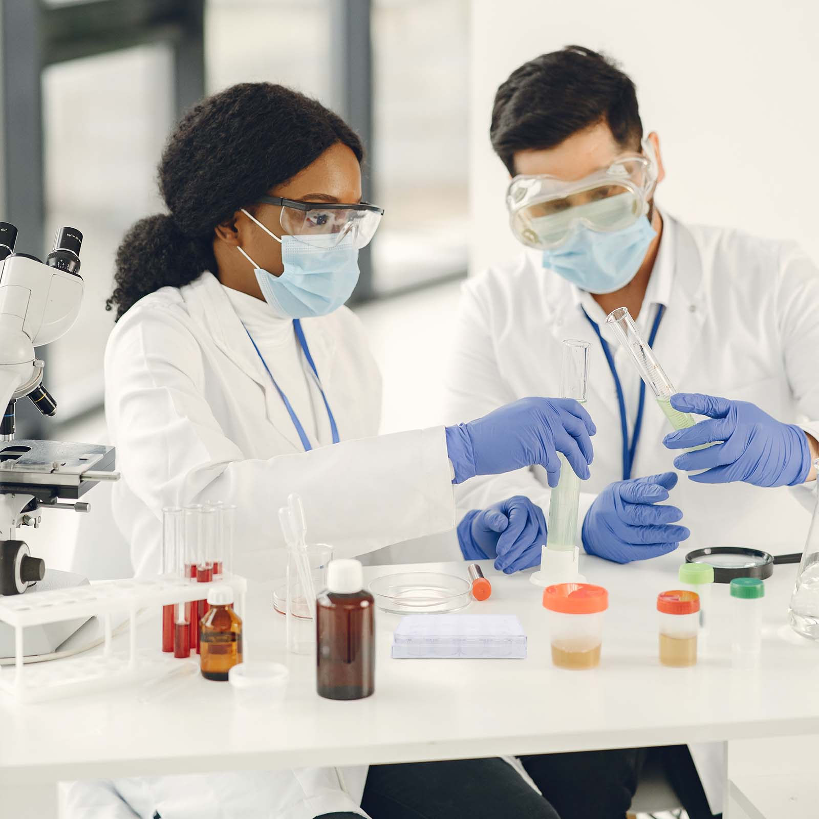 12穴セル培養プレート、組織培養トレイ、実験用機器。安定性、 - Lab Equipment のレビューと価格